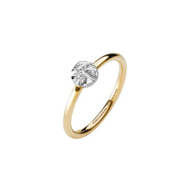 Gelbgold, Ringe, Schmuckwerk Alpen Ring, Ref: GR1605-GG-66