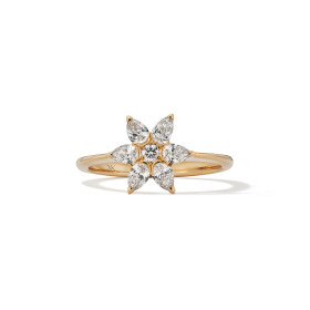 Rotgold, Ringe, Hans D. Krieger Stars Ring 311.4297.06.1