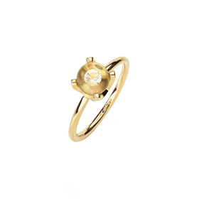 Gelbgold, Ringe, Schmuckwerk Glasklar Ring, Ref: CR177-GG-GK