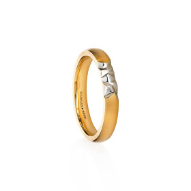 Gelbgold, Ringe, Schmuckwerk Alpen Ring, Ref: GR1140-GG-62