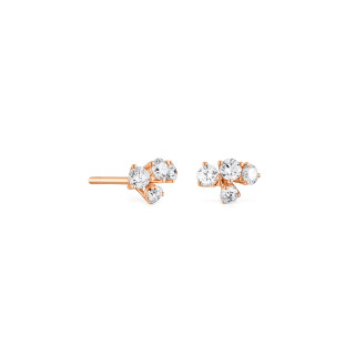 Roségold, Ohrringe, Cervera Barcelona Bouquet Ohrstecker, Ref: A1724BC/OR