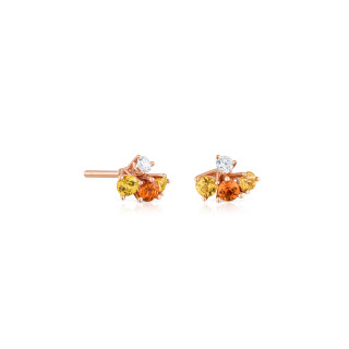 Roségold, Ohrringe, Cervera Barcelona Bouquet Ohrstecker, Ref: A1723BC/ZAMZN