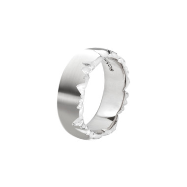         Platin, Ringe, Schmuckwerk Alpen Ring