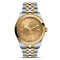Bicolor, Gelbgold, Champagner