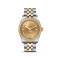 Bicolor, Gelbgold, Champagner