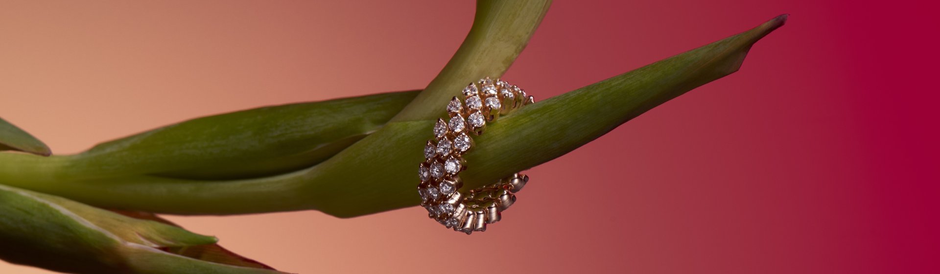 serafino-consoli-banner-desktop