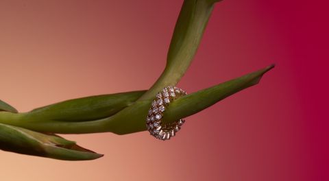 serafino-consoli-banner-mobil serafino-consoli-banner-mobil